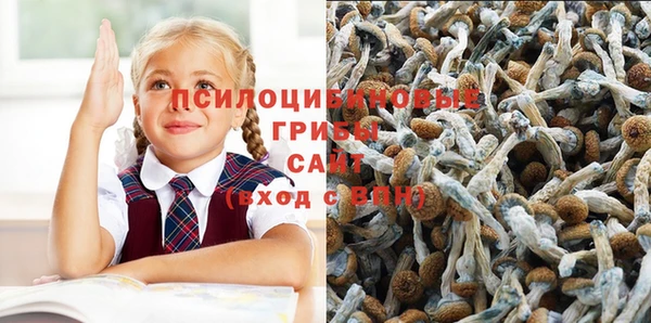 амфетамин Волосово
