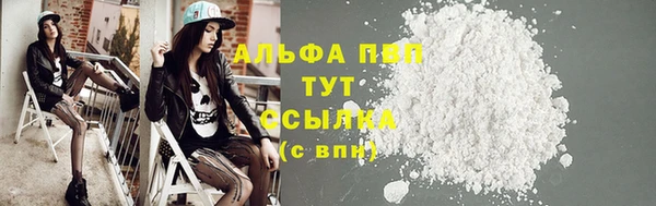 спиды Волоколамск