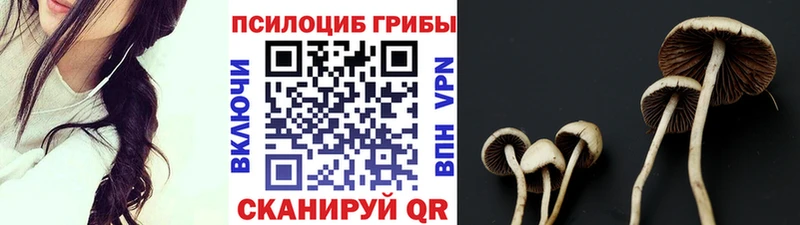 Псилоцибиновые грибы мухоморы Очёр